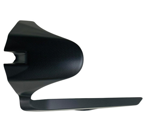 Ducati monster 821 carbon - ducati, rear